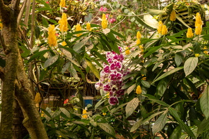 50 IMG 5040
