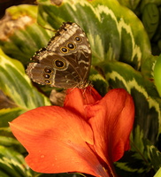 51 IMG 5048