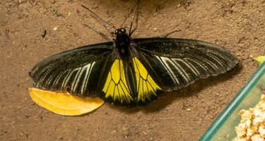 69 IMG 5074