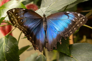 70 IMG 5077