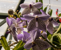 71 IMG 5078