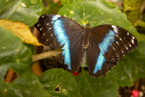 73 IMG 5080