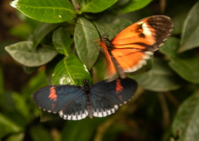 74 IMG 5085