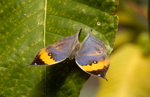 78 IMG 5095