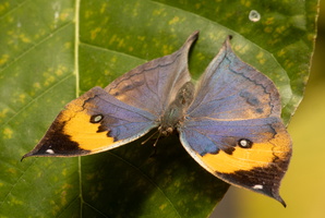 79 IMG 5096