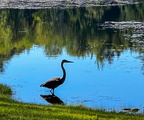 2 IMG 7932