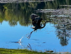 3 IMG 7933