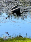 4 IMG 7934
