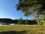 5 IMG 7936
