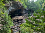 83 IMG 7976