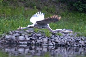 8-28-25 Wallkill from New Paltz