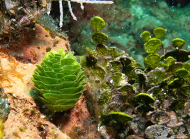 23 IMG 5210