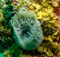 24 IMG 5211