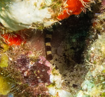 31 IMG 5230