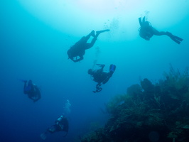 50 Divers-3