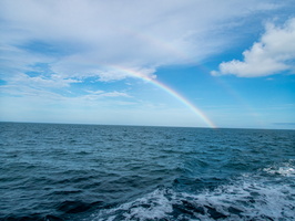 1 PA023631