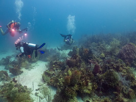 39 Divers