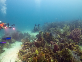 40 Divers-2