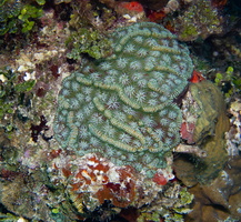 57 IMG 0263