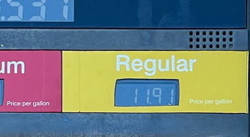 7 IMG 8675