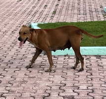 10 IMG 8658