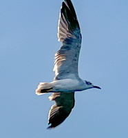 12 IMG 8656