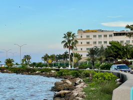 14 IMG 8664