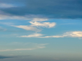 15 IMG 8671