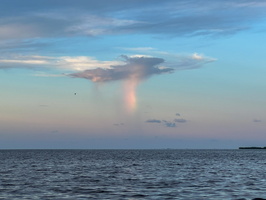 17 IMG 8667