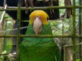 18 P9293626