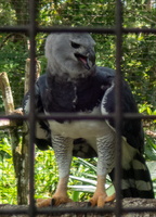 19 P9293610