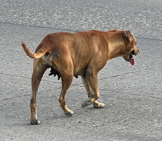 23 IMG 8662