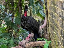 24 IMG 8690