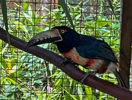 30 IMG 8682