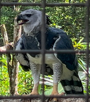 31 IMG 8718