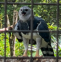33 IMG 8716