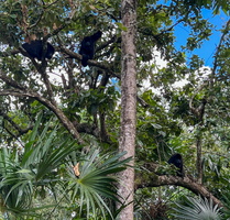 38 IMG 8704