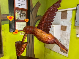 45 IMG 8677