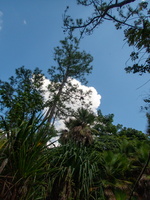 59 P9293577