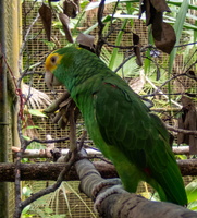 73 P9293624