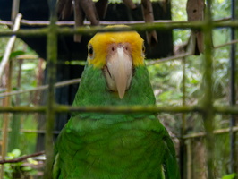 74 P9293627