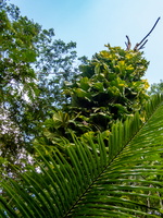 76 P9293580