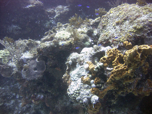 CRW_2048.jpg