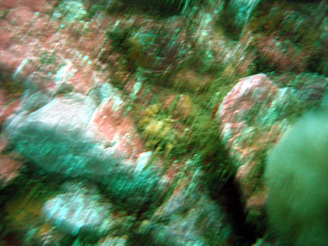 IMG_9505.jpg
