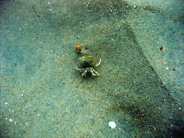 IMG_9606.jpg