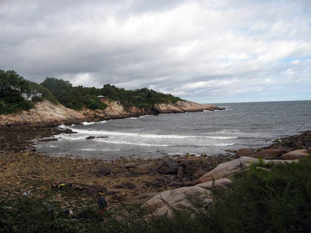 IMG_1036.jpg