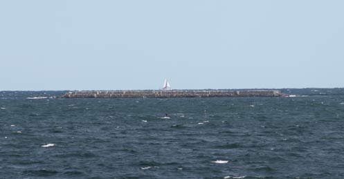 IMG_2246.jpg